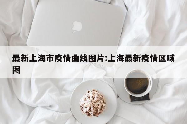 最新上海市疫情曲线图片：上海最新疫情区域图
